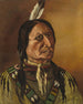 der Prärie-Indianer - J. W. Bradshaw — Ansicht des Kunstwerks