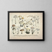 Faithful representations and descriptions of edible, harmful, and suspicious mushrooms Pl25 - J V Krombholz — framed artwork on a wall