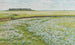 Ein weites Sommerlandschaft - Jacob Alberts — Ansicht des Kunstwerks