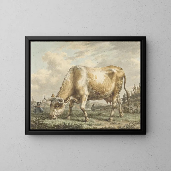 Kuh beim Grasen - Jacob Cats — gerahmtes Bild an der Wand
