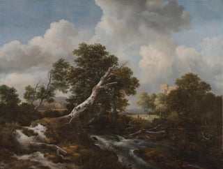 Jacob van Ruisdael - Low Waterfall in a Wooded Landscape with a Dead Beech Tree.webp