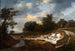 Falaise sablonneuse - Jacob van Ruisdael — vista dell’opera