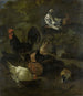 Un gallo, delle galline, delle colombe e una marmotta - Jacomo Victors — vista dell’opera