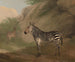 Zèbre - Jacques-Laurent Agasse — Ansicht des Kunstwerks