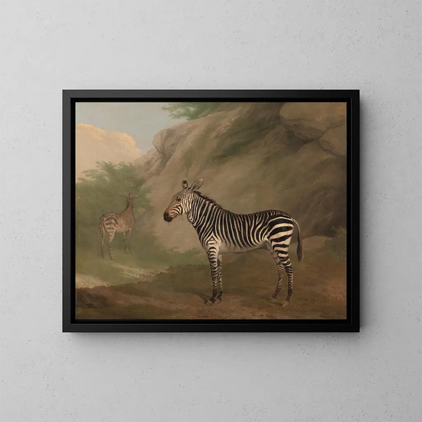 Zèbre - Jacques-Laurent Agasse — gerahmtes Bild an der Wand