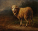 Mouton blanc - Jacques-Raymond Brascassat — vista dell’opera
