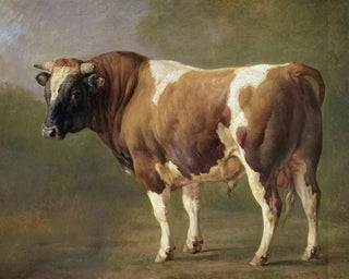 JacquesRaymond Brascassat - Study of a Bull.webp