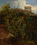 Tour et cactus - Jacques-Raymond Brascassat — artwork view