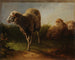 Tre pecore - Jacques-Raymond Brascassat — vista dell’opera