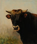 Head of a Black Bull - Jacques-Raymond Brascassat — artwork view
