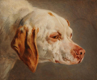 JacquesRaymond Brascassat - Tte de chien de chasse blanc et brun.webp