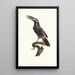 L'Aracari Koulik männlich aus Guyana - Jacques Barraband — gerahmtes Bild an der Wand