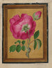 Stampe d'arte di fiori, farfalle e insetti Pl3 - Jacques Le Moyne de Morgues — vista dell’opera