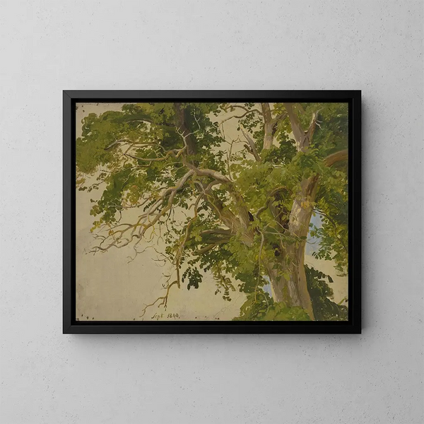 Canopée - Jakob Becker — gerahmtes Bild an der Wand