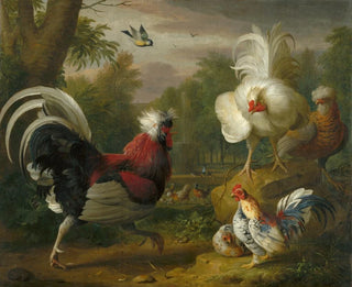 Il combattimento dei galli - Jakob Bogdani — vista dell’opera