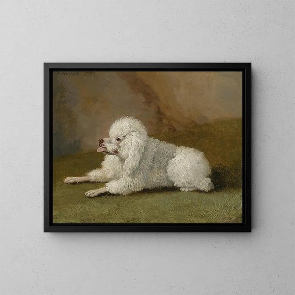Ritratto di un barboncino - Jakob Philipp Hackert — quadro incorniciato alla parete