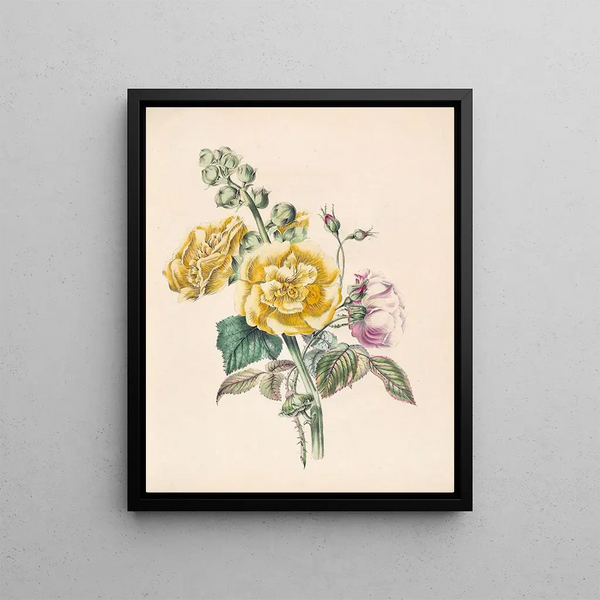 James Ackerman - Hollyhock And China Rose.webp