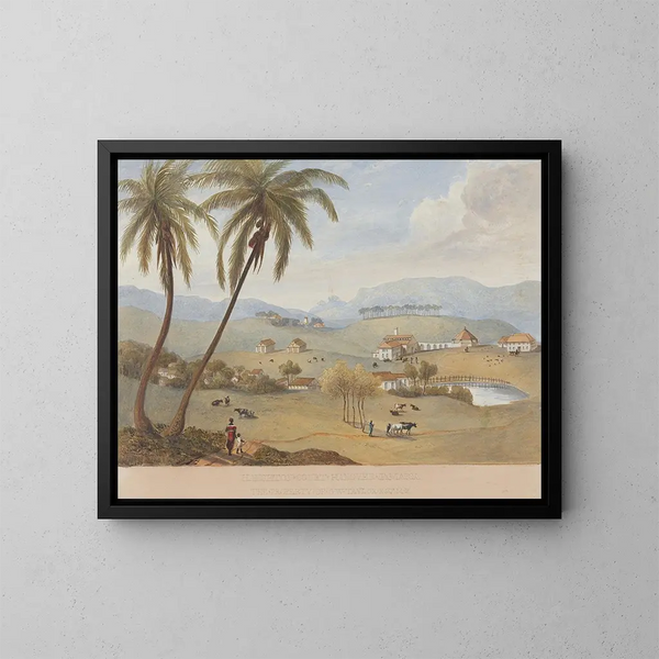 Haughton Court, Hannover, Giamaica - James Hakewill — quadro incorniciato alla parete