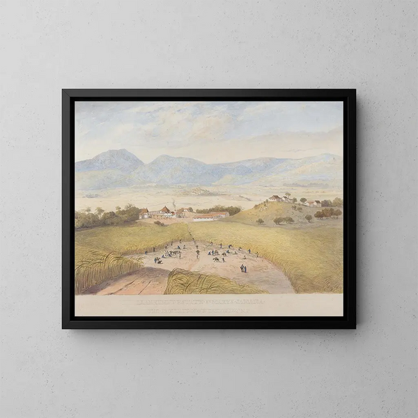 Domaine de Llanrumny, Sainte-Marie, Giamaica - James Hakewill — quadro incorniciato alla parete