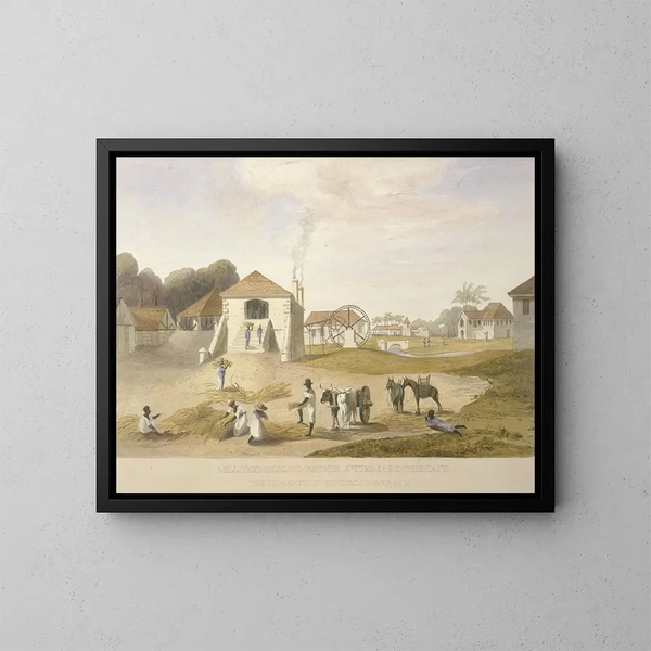 Hof der Mühle, Holland-Gebiet, Saint-Thomas im Osten - James Hakewill — gerahmtes Bild an der Wand