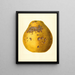 Citrus limon Ponderosa - James Marion Shull — gerahmtes Bild an der Wand