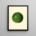 Persea Winslowson - James Marion Shull — quadro incorniciato alla parete