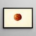 Prunus persica Sutler Cling - James Marion Shull — gerahmtes Bild an der Wand