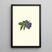 Vaccinium corymbosum Weymouth - James Marion Shull — quadro incorniciato alla parete