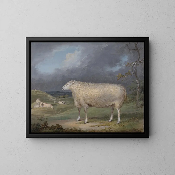 Una pecora Border Leicester - James Ward — quadro incorniciato alla parete