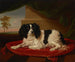 Un épagneul King Charles sur un coussin rouge - James Ward — vista dell’opera