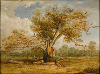 James Ward - An oak tree in Richmond Park with a herd of fallow deer beside it.webp
