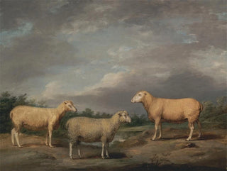 James Ward - Ryelands Sheep the Kings Ram the Kings Ewe and Lord Somervilles Wether.webp