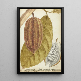 Jan Brandes - Cacao.webp