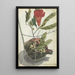 Granatapfel und Blume - Jan Brandes — gerahmtes Bild an der Wand