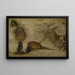 Studio di scimmie, un cervo e altri animali - Jan Brueghel il Giovane — quadro incorniciato alla parete