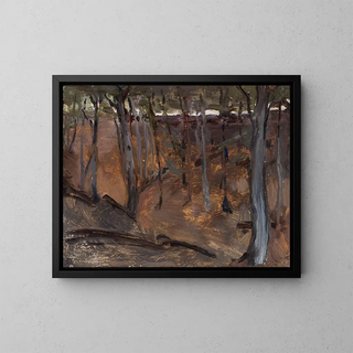 Jan Cigliski - Forest  Finland.webp