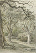 Paesaggio boschivo - Jan Hulswit — vista dell’opera