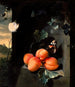 Naturmorte mit Aprikosen und Schmetterlingen - Jan Mortel — Ansicht des Kunstwerks