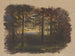 Im Wald vor Sonnenuntergang - Jan Nowopack — Ansicht des Kunstwerks
