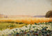 Champ de choux - Jan Stanisławski — vista dell’opera