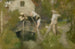 Traînée dans la Woluwe - Jan Stobbaerts — artwork view