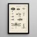 Le livre de la nature ou L'histoire des insectes Pl12 - Jan Swammerdam — gerahmtes Bild an der Wand