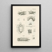The Book of Nature or L'histoire des insectes Pl27 - Jan Swammerdam — framed artwork on a wall