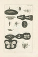 Le livre de la nature ou L'histoire des insectes Pl37 - Jan Swammerdam — Ansicht des Kunstwerks