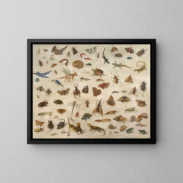 insetti, anfibi, conchiglie e topi - Jan van Kessel l'Ancien — quadro incorniciato alla parete