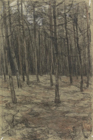 Jan Veth - Boslandschap.webp