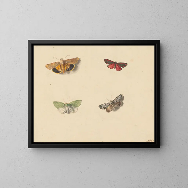 Quatre papillons - Jan Weissenbruch — gerahmtes Bild an der Wand