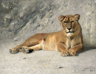 Leone in riposo - Jan van Essen — vista dell’opera