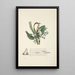 Citron myrrhe et roseau balsamique - Jane Elizabeth Giraud — framed artwork on a wall