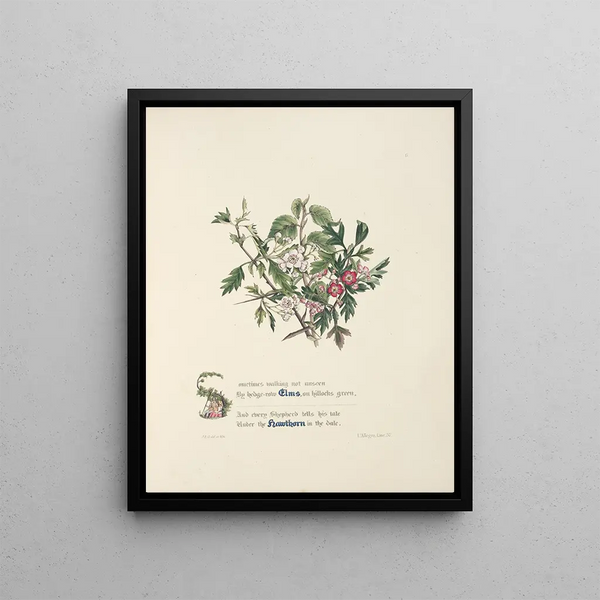 Jane Elizabeth Giraud - Elms and hawthorns.webp